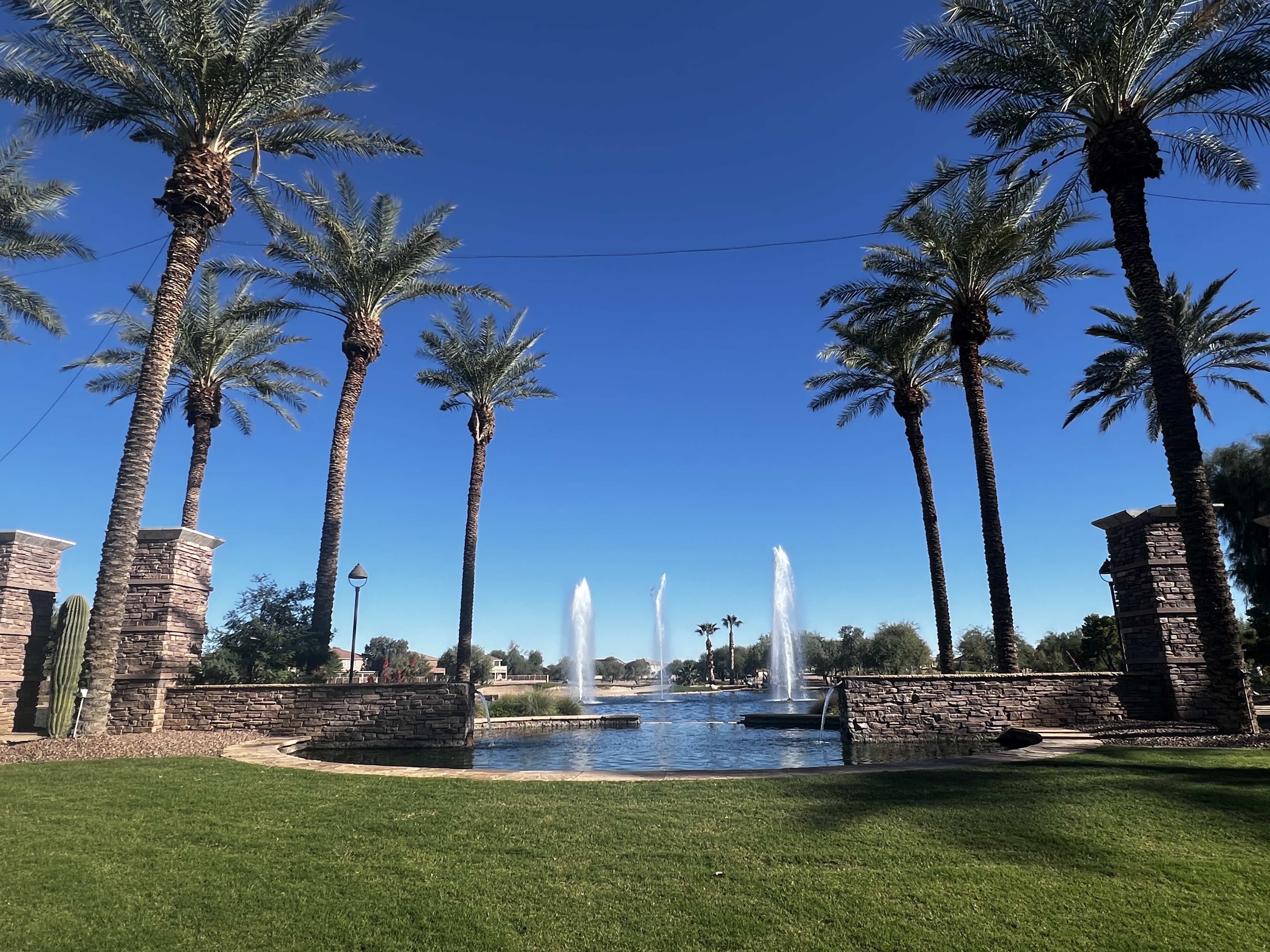 Tree-lined street and lake view in a Maricopa AZ master-planned neighborhood