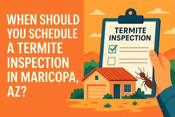 When Should You Schedule a Termite Inspection in Maricopa, AZ?,James Sanson