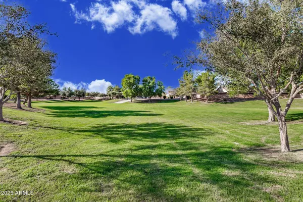 43322 W BLAZEN Trail, Maricopa, AZ 85138