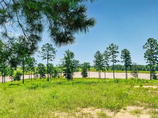 0 Quail Alley CIR, Livingston, TX 77351