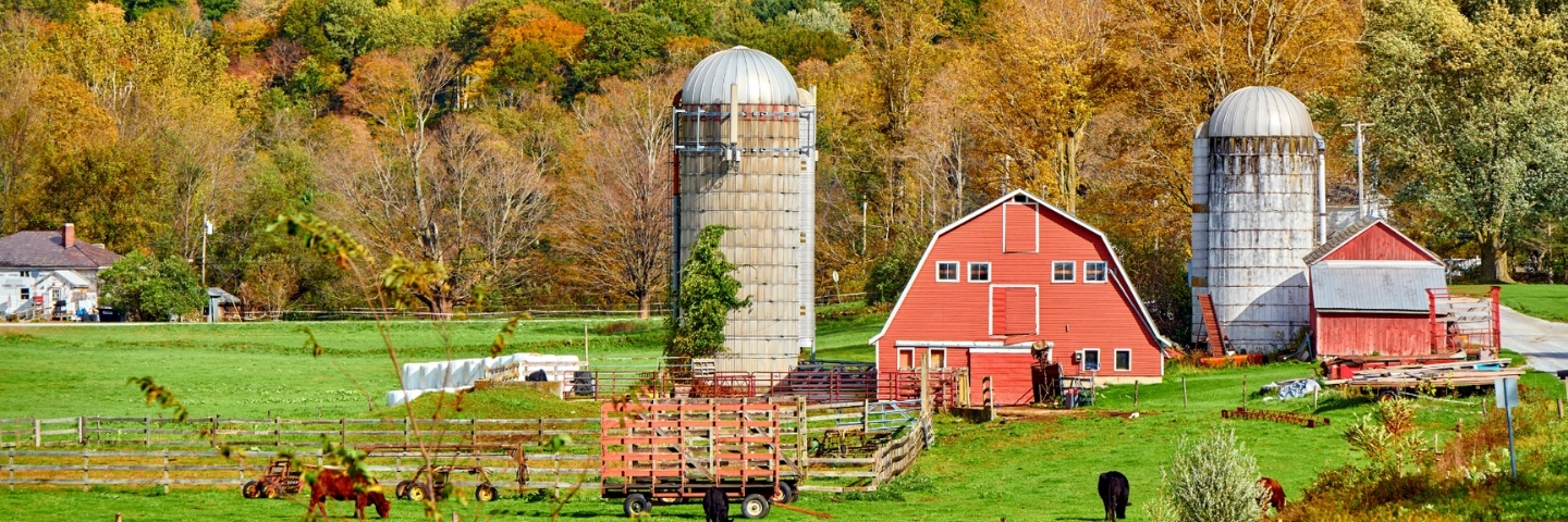 Area profile banner (
