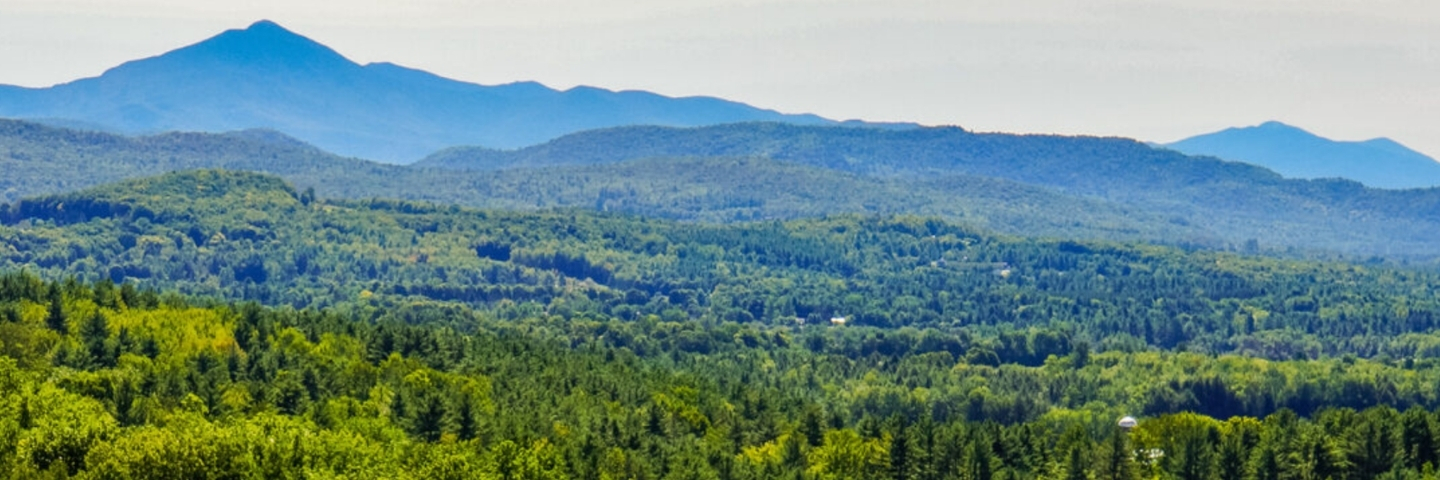 Area profile banner