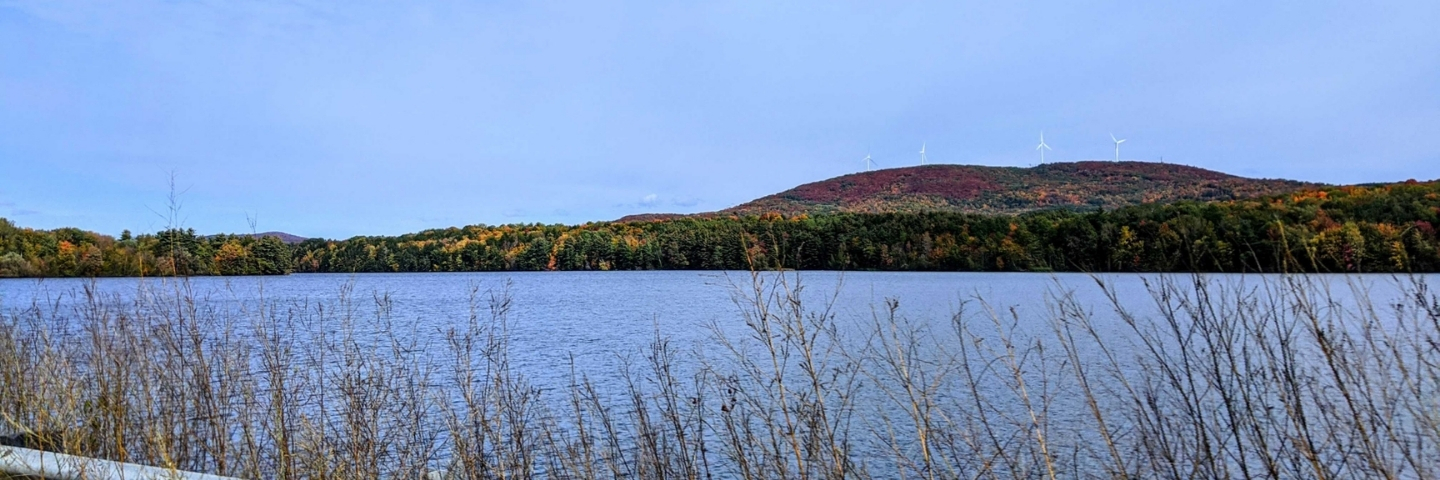 Area profile banner