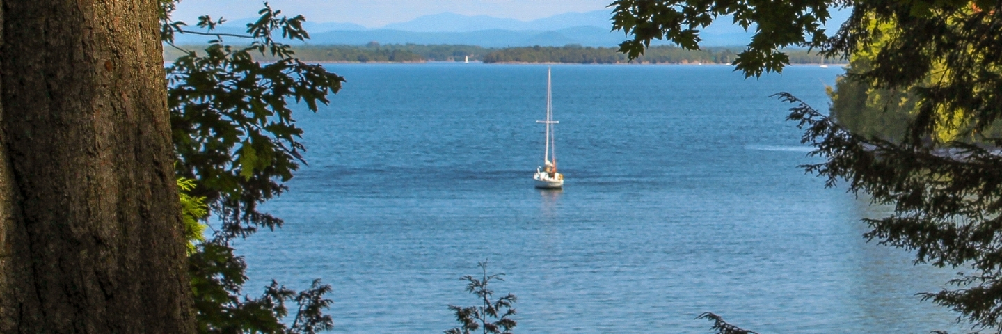 Area profile banner