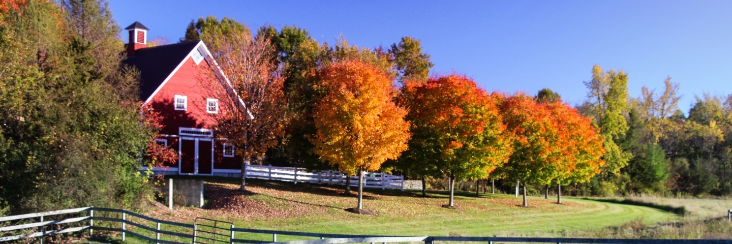 Area profile banner 