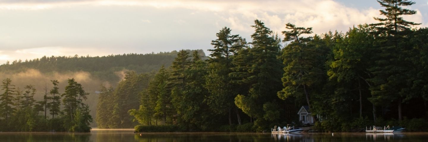 Area profile banner