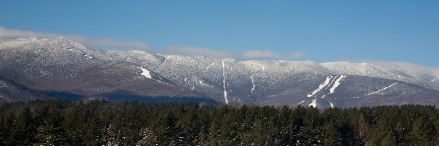Area profile banner