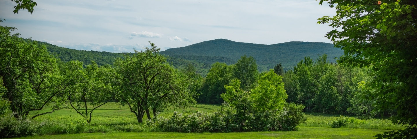 Area profile banner 