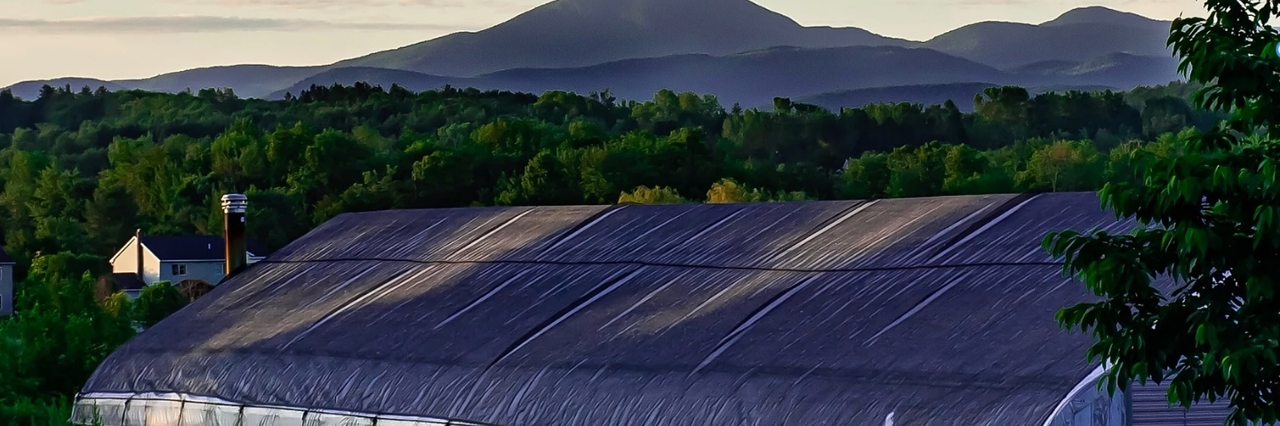 Area profile banner 