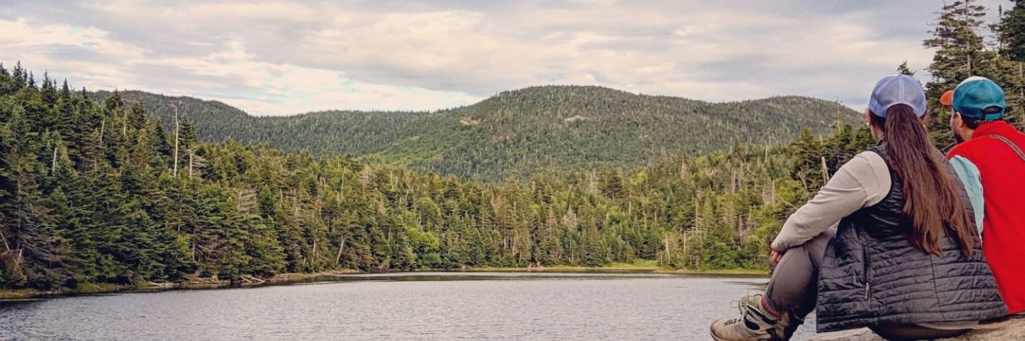 Area profile banner