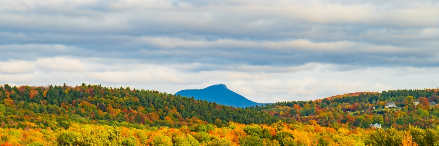 Area profile banner
