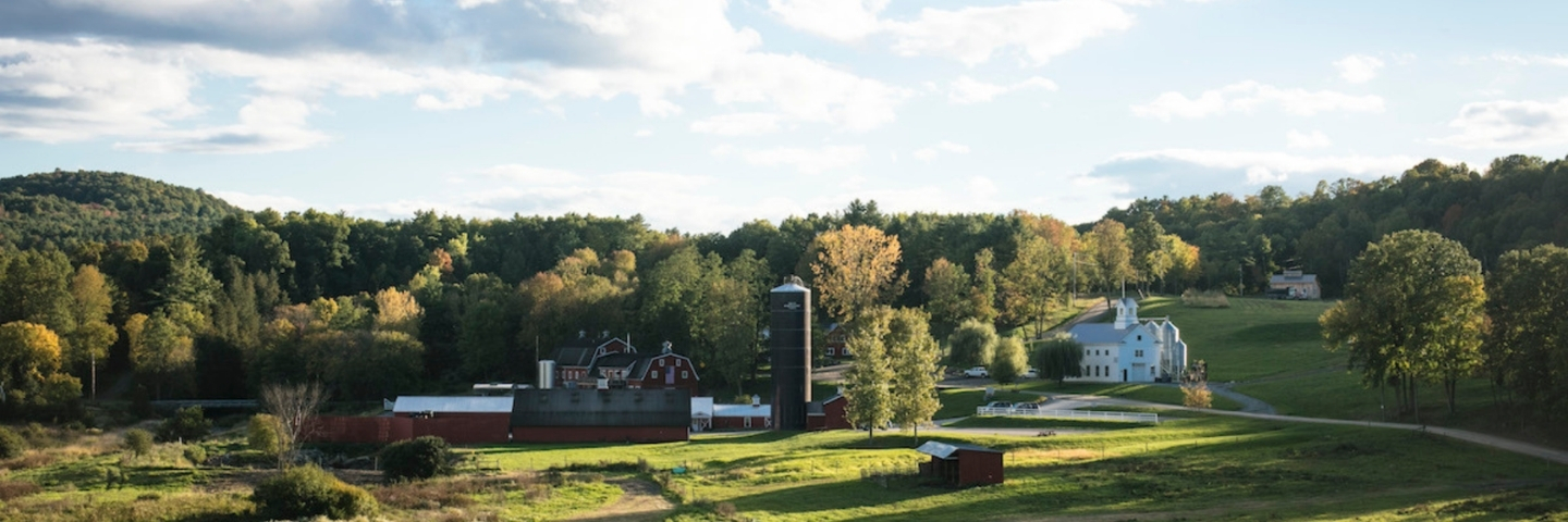 Area profile banner
