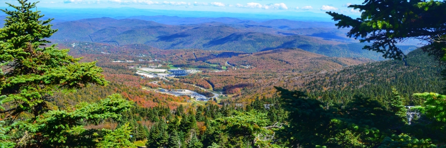 Area profile banner 