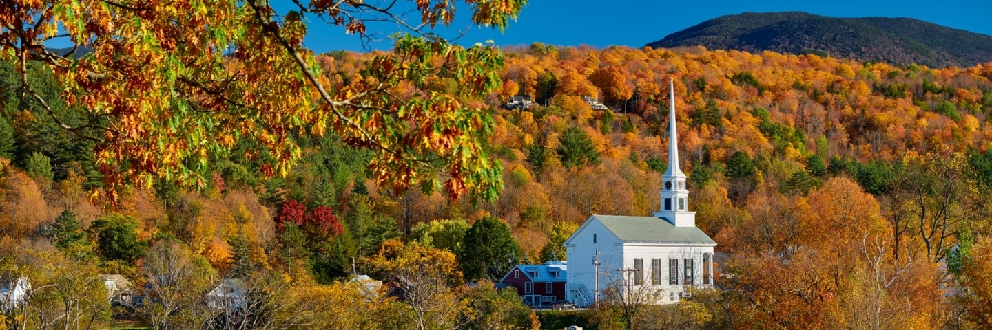 Area profile banner 
