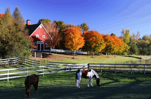 Williamstown