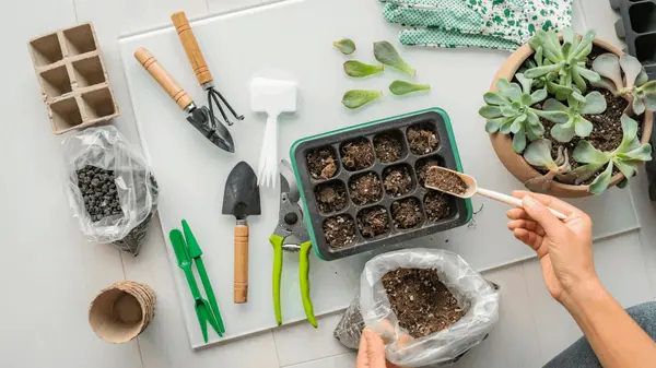 10 Easy Ways to Make Your Home More Sustainable,Vermont Real Estate Company