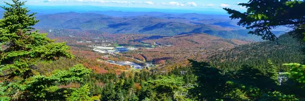 Area profile banner 