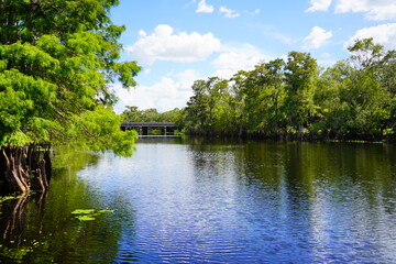 Deland1