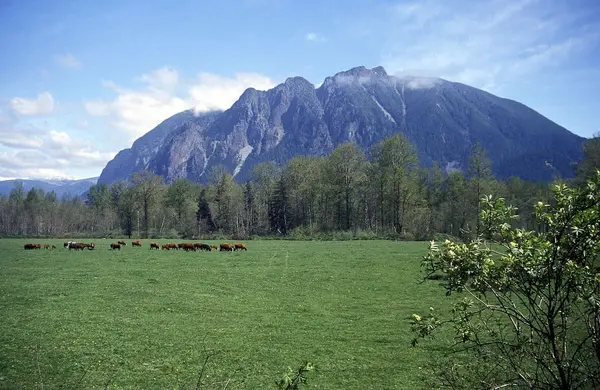 North Bend homes for sale