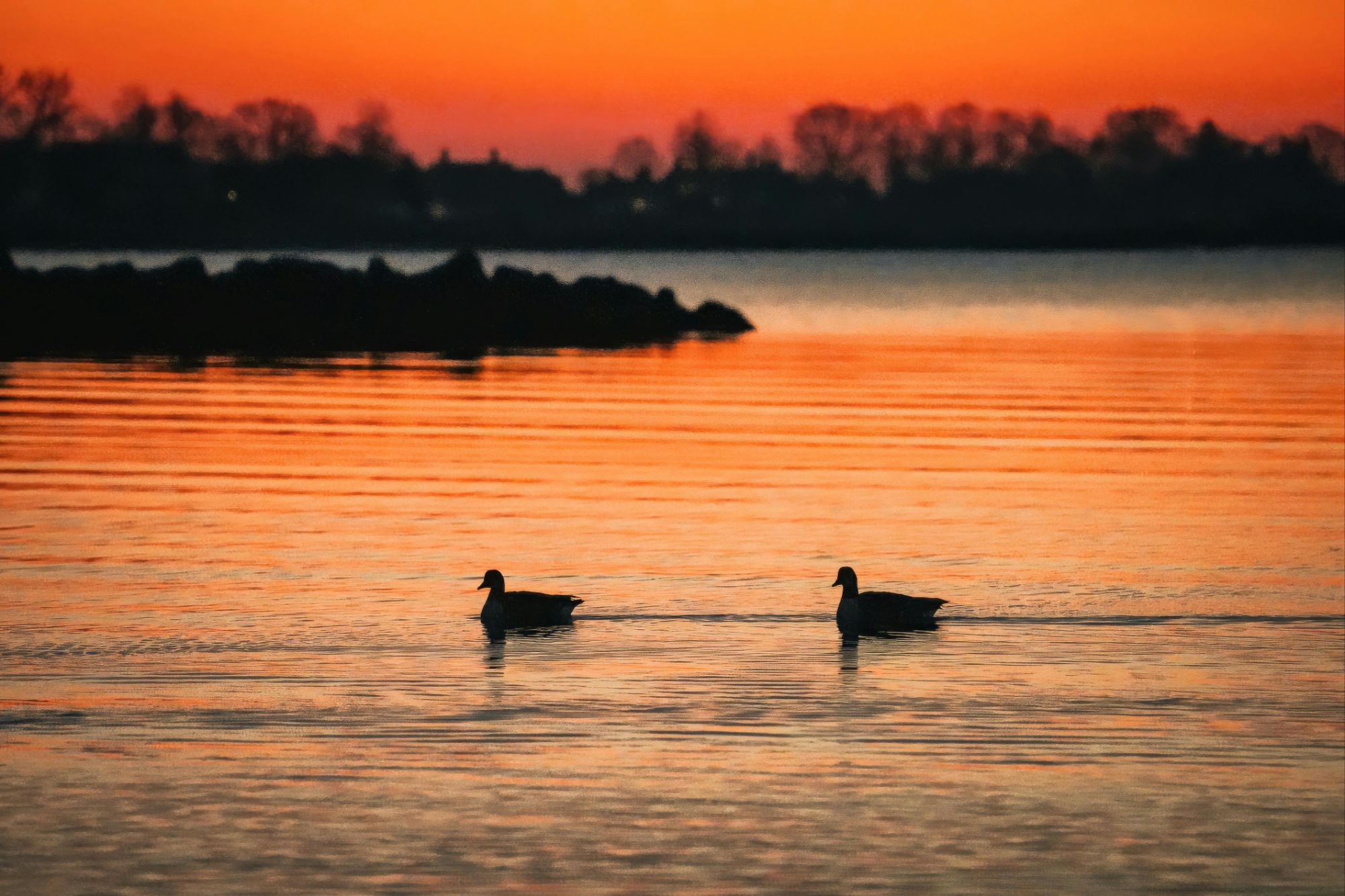 pexels-cara-denison-886614634-35097842