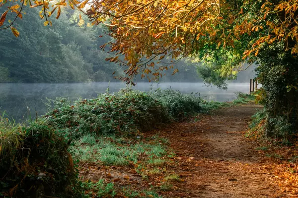 Veneta & West Lane Real Estate Market Update | Hybrid Real Estate