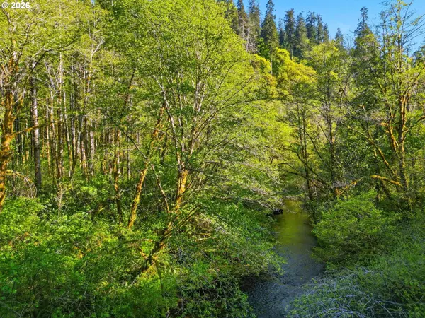 Upper North Ford Rd, Florence, OR 97439
