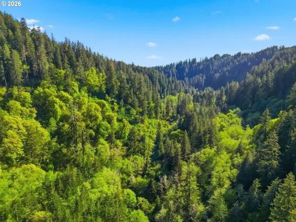 Upper North Ford Rd, Florence, OR 97439