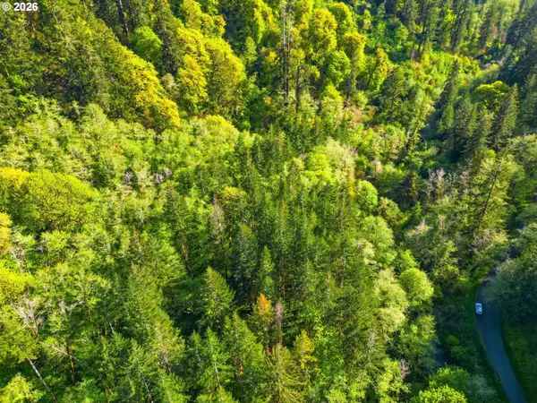 Upper North Fork RD, Florence, OR 97439