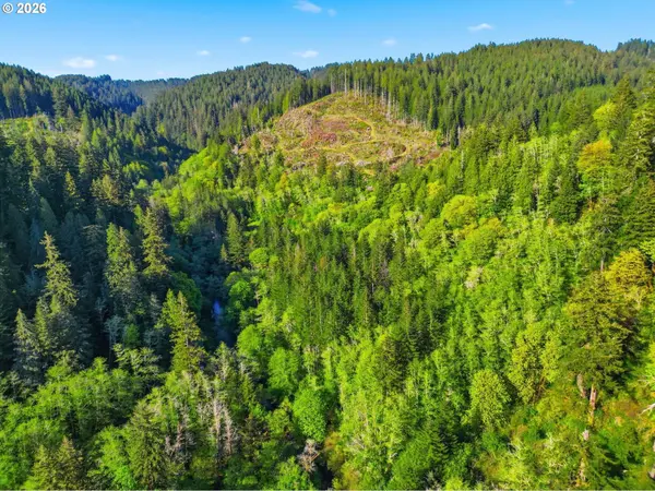 Upper North Fork RD, Florence, OR 97439
