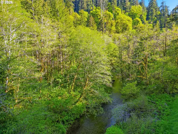 Upper North Ford Rd, Florence, OR 97439