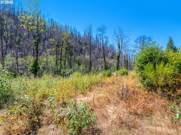 49280 MCKENZIE HWY, Vida, OR 97488