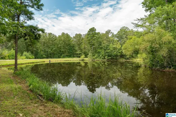 5720 BLACK CREEK DRIVE #4, Bessemer, AL 35022