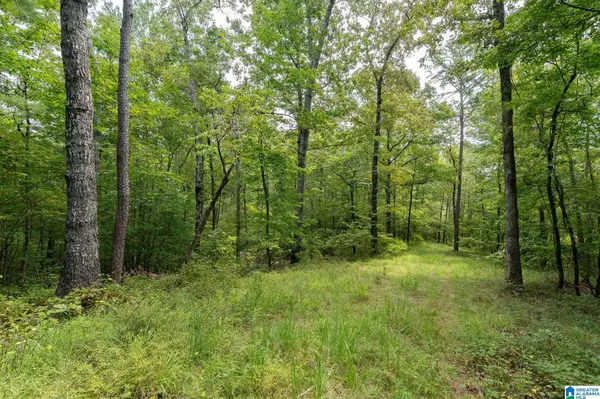 5720 BLACK CREEK DRIVE #4, Bessemer, AL 35022
