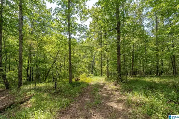 5720 BLACK CREEK DRIVE #4, Bessemer, AL 35022