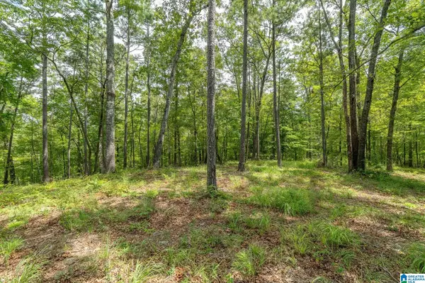 5720 BLACK CREEK DRIVE #4, Bessemer, AL 35022