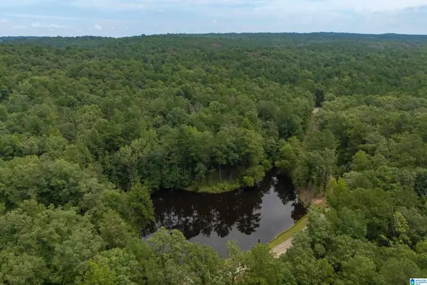 5720 BLACK CREEK DRIVE #4, Bessemer, AL 35022