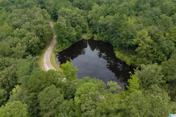 5720 BLACK CREEK DRIVE #4, Bessemer, AL 35022