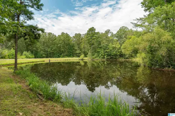5720 BLACK CREEK DRIVE #4, Bessemer, AL 35022