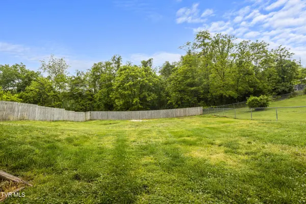 172 Jane LN, Bristol, VA 24201