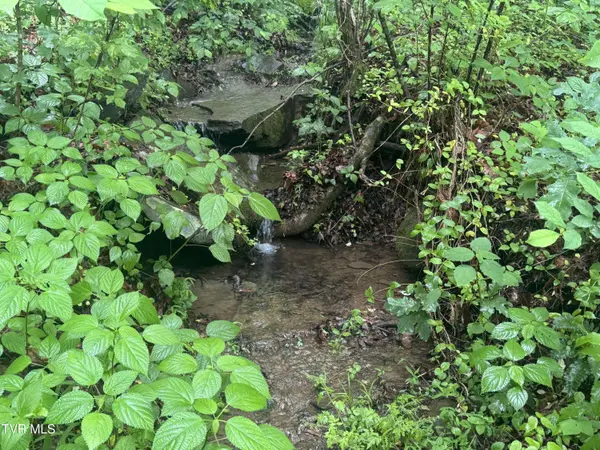 Tbd Boozy Creek RD, Bristol, VA 24202