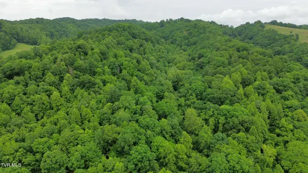 Tbd Boozy Creek RD, Bristol, VA 24202