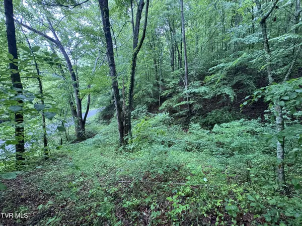 Tbd Boozy Creek RD, Bristol, VA 24202