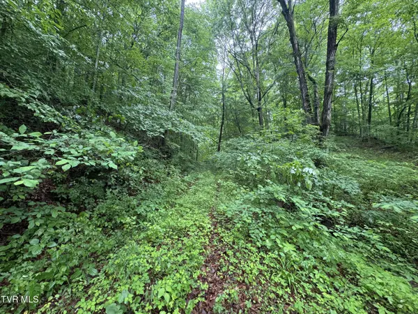 Tbd Boozy Creek RD, Bristol, VA 24202