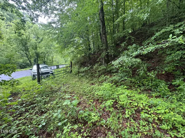 Tbd Boozy Creek RD, Bristol, VA 24202