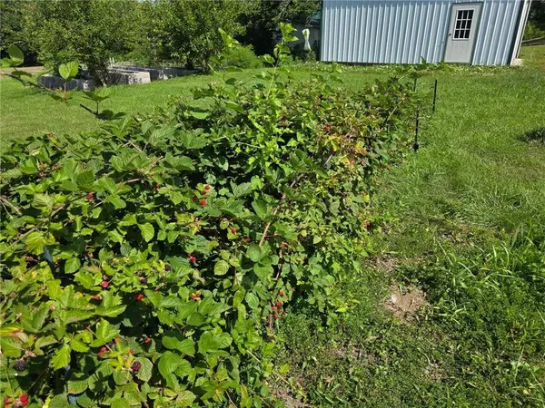 301 Walnut ST, Pattonsburg, MO 64670