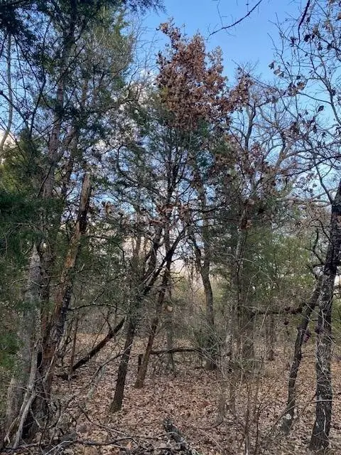 TBD Cr 1200, Malakoff, TX 75148