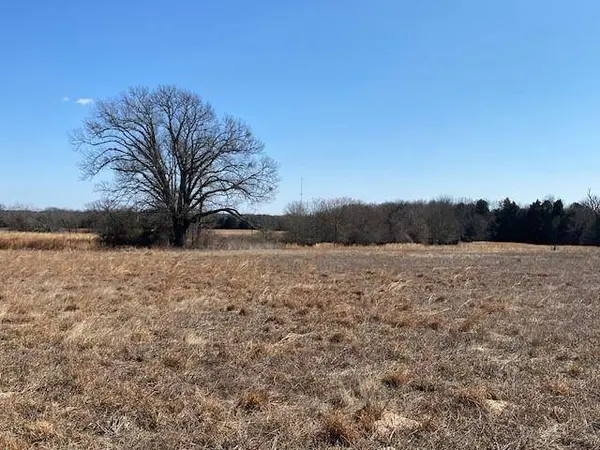 4101 Cr 3703, Athens, TX 75752