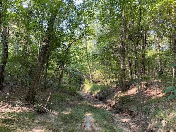TR 3-A Cr 41514, Athens, TX 75751