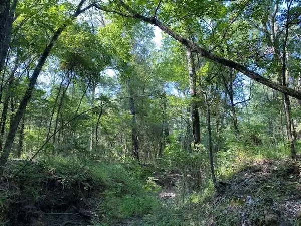 TR 3-A Cr 41514, Athens, TX 75751