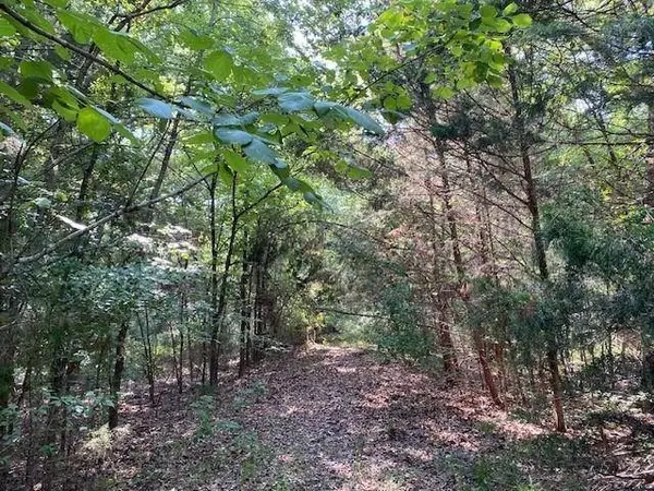 TR 4-A Cr 41514, Athens, TX 75751